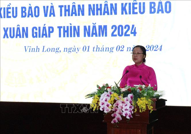 Bà Nguyễn Thị Quyên Thanh, Phó chủ tịch Ủy ban nhân dân tỉnh Vĩnh Long phát biểu tại buổi họp mặt. Ảnh: Lê Thúy Hằng - TTXVN