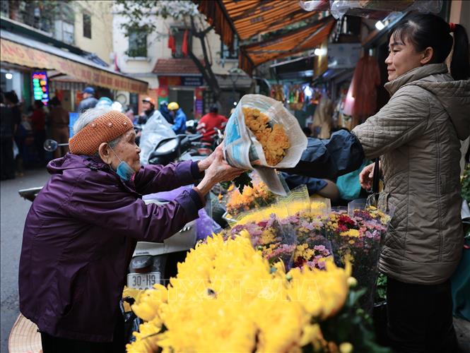 Dù tuổi đã cao, nhưng bà cụ này vẫn muốn đích thân ra chợ để mua bó hoa cúc về cắm trên bàn thờ gia tiên trong những ngày Tết. Ảnh: Hoàng Hiếu - TTXVN 