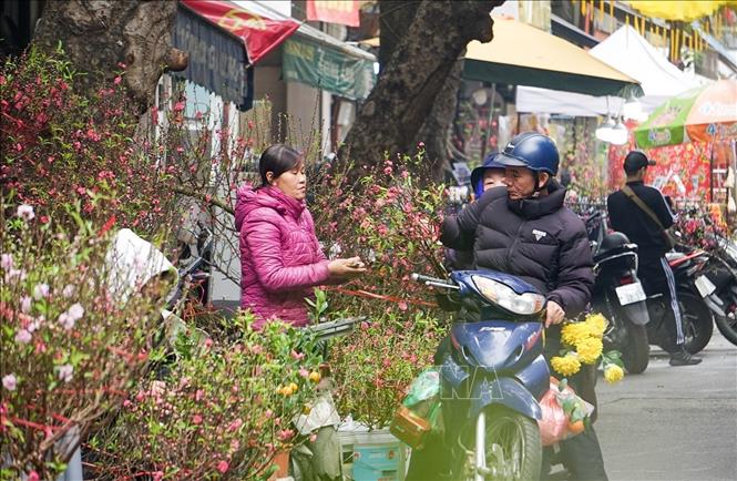Người dân mua sắm cây cảnh chuẩn bị Tết Giáp Thìn. Ảnh: Khánh Hoà - TTXVN