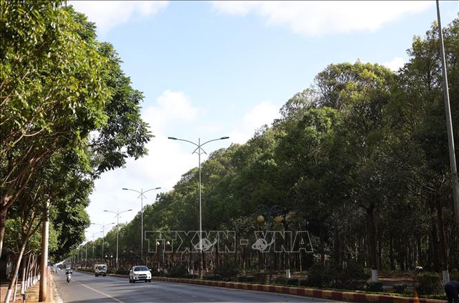 Hệ thống cây xanh trở thành một trong những điểm nhấn của phố núi Buôn Ma Thuột. Ảnh: Tuấn Anh – TTXVN