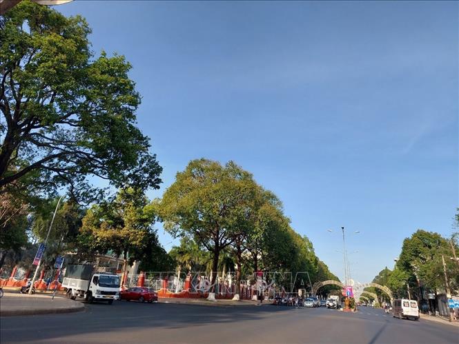 Hệ thống cây xanh nội thị trên tuyến đường trung tâm thành phố Buôn Ma Thuột. Ảnh: Tuấn Anh – TTXVN