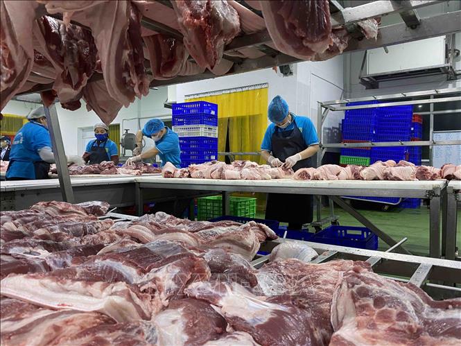 Pha lóc, phân loại thịt lợn ở nhà máy của Công ty Cổ phần Công nghệ thực phẩm Vinh Anh (huyện Thường Tín, Hà Nội). Ảnh: Vũ Sinh - TTXVN