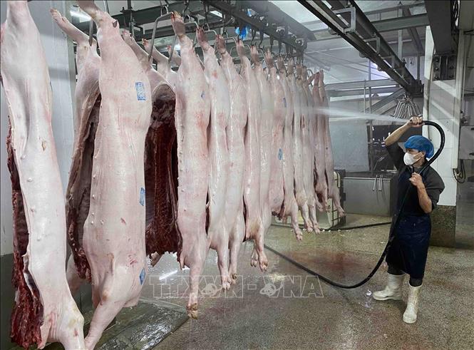 Làm sạch thịt lợn trước khi đưa vào chế biến tại nhà máy của Công ty Cổ phần Công nghệ thực phẩm Vinh Anh (huyện Thường Tín, Hà Nội). Ảnh: Vũ Sinh - TTXVN