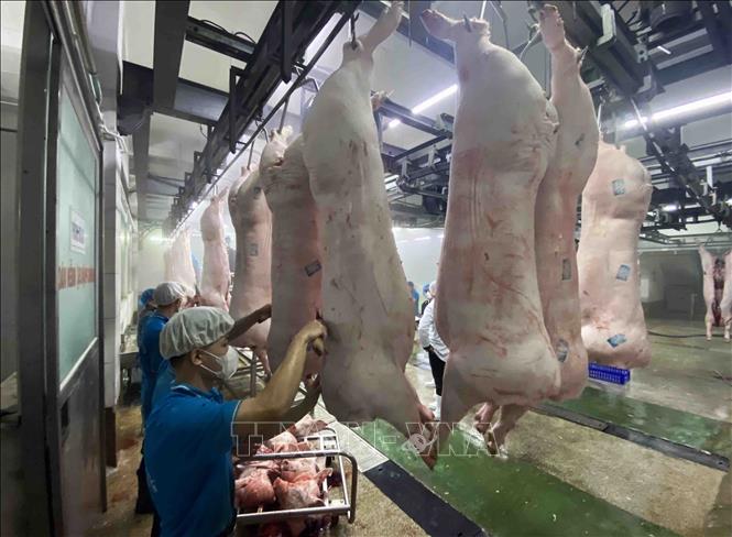 Chế biến thịt lợn tại nhà máy của Công ty Cổ phần Công nghệ thực phẩm Vinh Anh (huyện Thường Tín, Hà Nội). Ảnh: Vũ Sinh - TTXVN