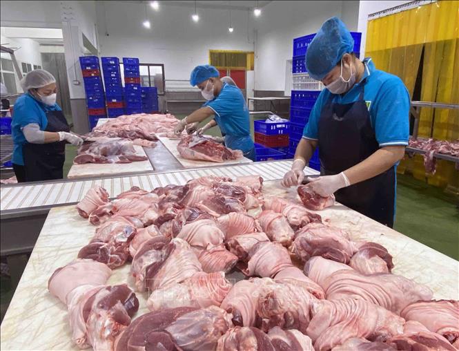Pha lóc, phân loại thịt lợn tại nhà máy của Công ty Cổ phần Công nghệ thực phẩm Vinh Anh (huyện Thường Tín, Hà Nội). Ảnh: Vũ Sinh - TTXVN