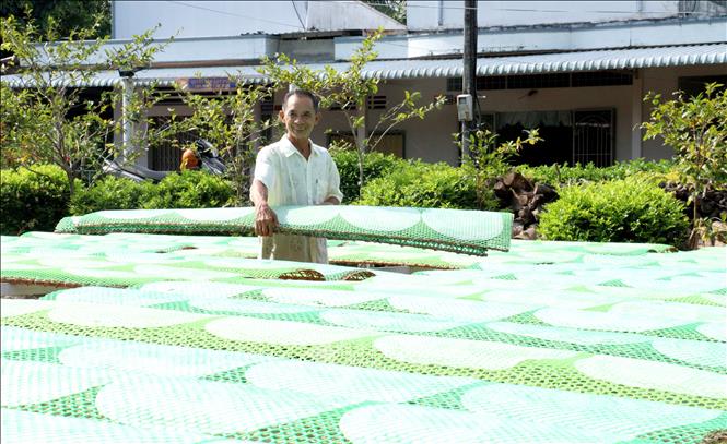 Những chiếc bánh tráng được làm khô bằng ánh nắng mặt trời từ 1-3 giờ tùy vào loại bánh. Ảnh: Lê Thúy Hằng - TTXVN