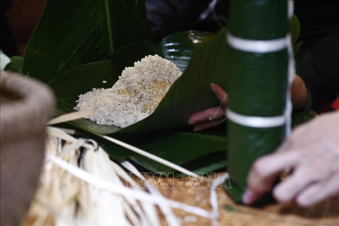 Gạo nếp chọn gói bánh hạt thường to, tròn, trắng và thơm, tạo nên chiếc bánh chưng ngon không thể thiếu trong ngày Tết. Ảnh: Minh Quyết – TTXVN