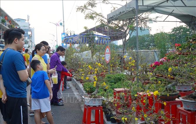 Khu vực bày bán mai tại chợ hoa Xuân “Trên bến dưới thuyền” thu hút đông người dân đến tham quan. Ảnh: Thu Hương - TTXVN