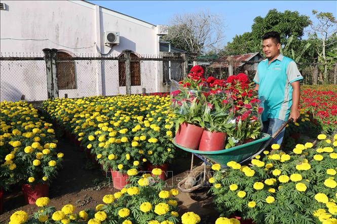 Lao động tại làng nghề ấp Vĩnh Yên (xã Long Đức), thành phố Trà Vinh. Ảnh: Thanh Hoà - TTXVN