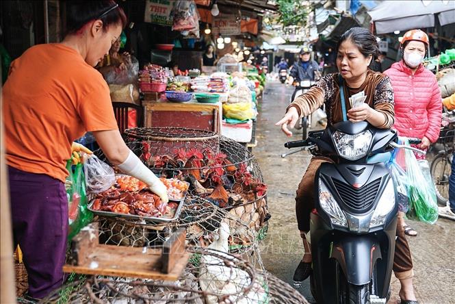 Một quầy bán gia cầm sống tại chợ Nguyễn Công Trứ (Hà Nội). Ảnh: Khánh Hoà - TTXVN