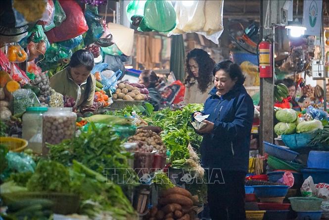 Đi chợ truyền thống là một trong những thói quen hằng ngày của người Việt Nam. Ảnh: Khánh Hoà - TTXVN