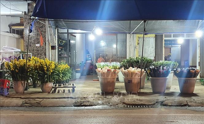 Cơ sở buôn bán hoa tươi tại chợ hoa Mê Linh (Hà Nội). Ảnh: Nguyễn Trọng Lịch- TTXVN


