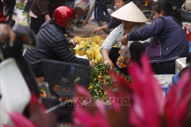 Người dân mua sắm, chuẩn bị cho Tết cổ truyền. Ảnh: Minh Quyết - TTXVN