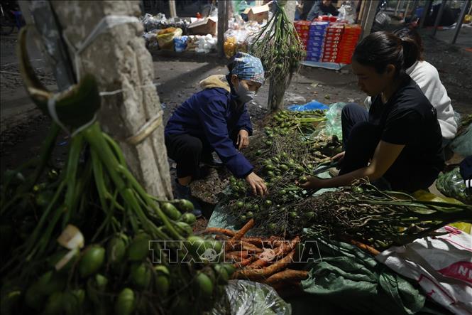Trầu, cau được bày bán nhiều hơn để phục vụ nhu cầu tăng cao trong ngày Tết. Ảnh: Minh Quyết – TTXVN