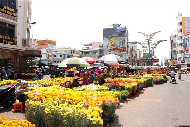 Chợ hoa Tết ở Trà Vinh vắng khách mua hoa. Ảnh: Thanh Hòa - TTXVN