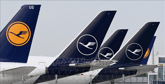 Các máy bay của hãng hàng không Lufthansa tại sân bay Franz-Josef-Strauss ở Munich, Đức. Ảnh: AFP/TTXVN