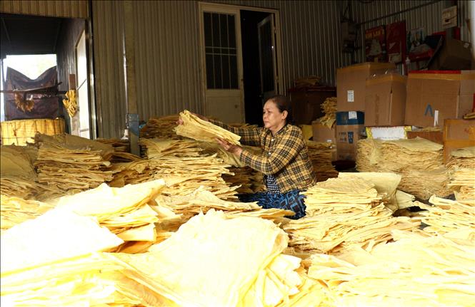 Các lá tàu hũ được đóng gói cẩn thận trước khi giao đến khách hàng. Ảnh: Lê Thúy Hằng – TTXVN