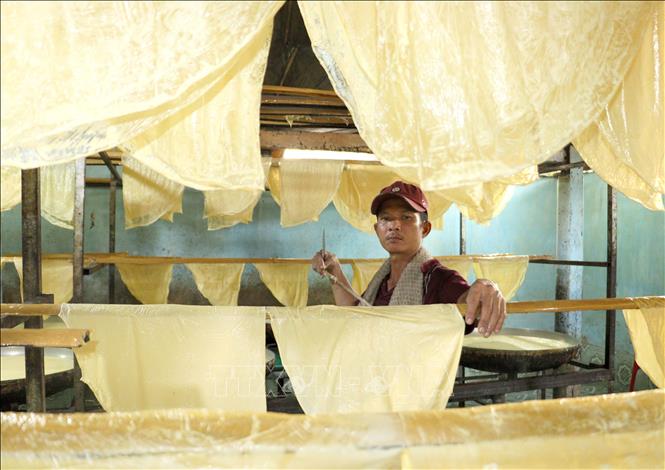 Người thợ vớt lá tàu hũ lên giàn phơi. Ảnh: Lê Thúy Hằng – TTXVN
