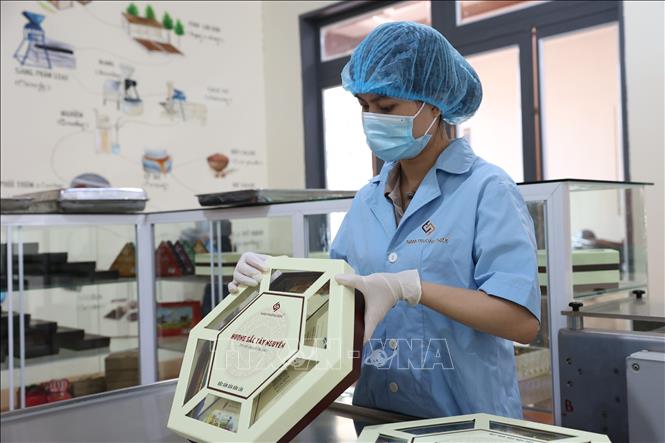 Công nhân Công ty TNHH Ca cao Nam Trường Sơn đóng gói thành phầm sản phẩm socola. Ảnh: Tuấn Anh – TTXVN