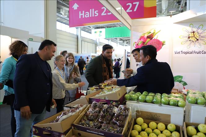 Gian hàng Việt Nam tại Fruit Logistica 2024. Ảnh: Thu Hằng - PV TTXVN tại CHLB Đức