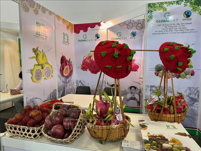Hoa quả Việt Nam được giới thiệu tại Fruit Logistica 2024. Ảnh: Thu Hằng - PV TTXVN tại CHLB Đức