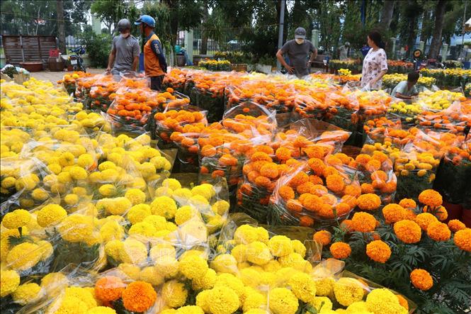 Chợ hoa xuân Giáp Thìn năm 2024 tại thành phố Cao Lãnh (Đồng Tháp). Ảnh: Nguyễn Văn Trí - TTXVN