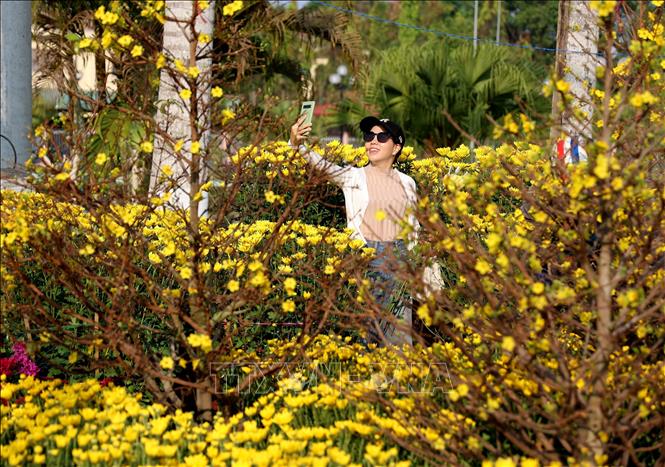 Người dân check-in chợ hoa Tết ở Đạ Tẻh ngày 30 Tết Giáp Thìn 2024. Ảnh: Hồng Đạt - TTXVN
