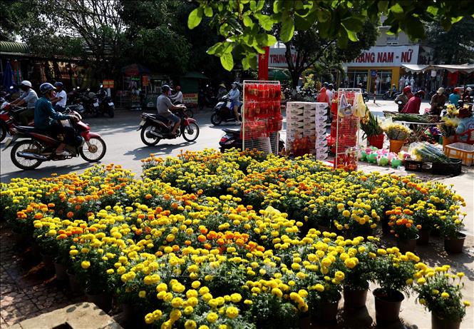 Hoa Tết được bày bán nhiều dọc con đường trung tâm thị trấn Đạ Tẻh. Ảnh: Hồng Đạt - TTXVN
