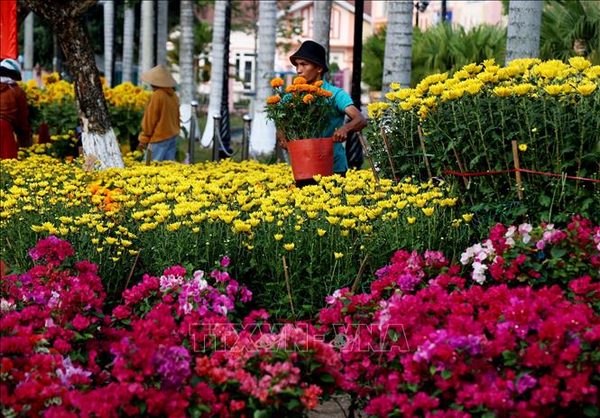 Nhiều loại hoa bán ở chợ hoa Tết Đạ Tẻh được nhập về từ nhiều tỉnh, thành miền Đông và Tây Nam Bộ. Ảnh: Hồng Đạt - TTXVN
