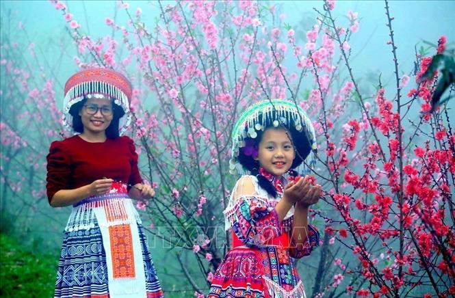 Du khách bên rừng đào trên đèo Pha Ðin (Thuận Châu, Sơn La). Ảnh: Quang Quyết-TTXVN