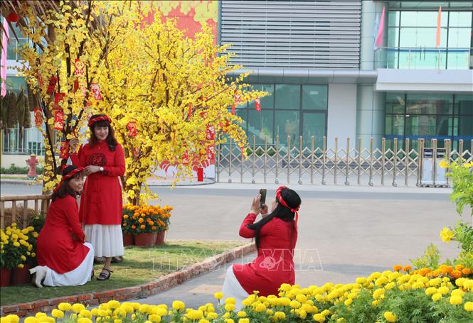 Người dân phấn khởi đi chụp ảnh trên con đường gốm và hoa xuân Giáp Thìn năm 2024 tại thành phố Vĩnh Long. Ảnh: Lê Thúy Hằng - TTXVN