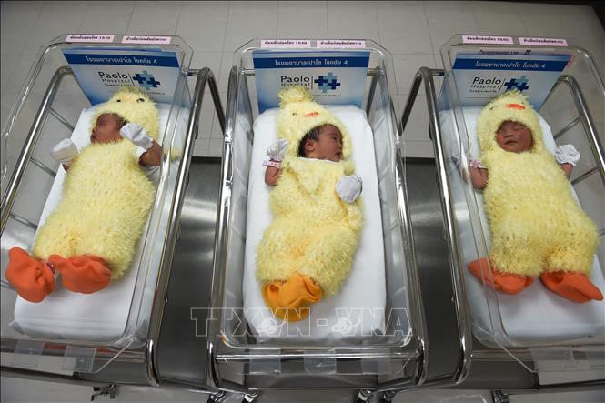 (Tư liệu) Các em bé sơ sinh tại bệnh viện ở Bangkok, Thái Lan. Ảnh: AFP/TTXVN