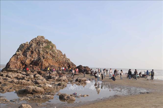 Thủy triều xuống, dãy núi đá vôi Hòn Câu (xã Diễn Hải) lộ diện toàn bộ trên bờ biển, thu hút đông đảo du khách đến vui chơi trong dịp nghỉ Tết. Ảnh: Xuân Tiến - TTXVN 