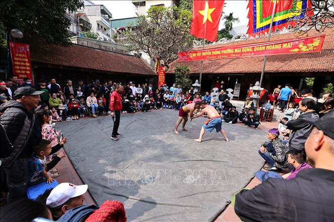 Nét đặc sắc nhất của Lễ hội Vật làng Mai Động là sự quy tụ của nhiều đô vật danh tiếng, từ các bô lão, trung niên, thanh niên đến thiếu niên, nhi đồng. Ảnh: Minh Đức - TTXVN