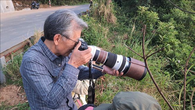 Red-shanked douc langurs attract numerous professional and amateur photographers to the peninsula. VNA Photo: Văn Dũng