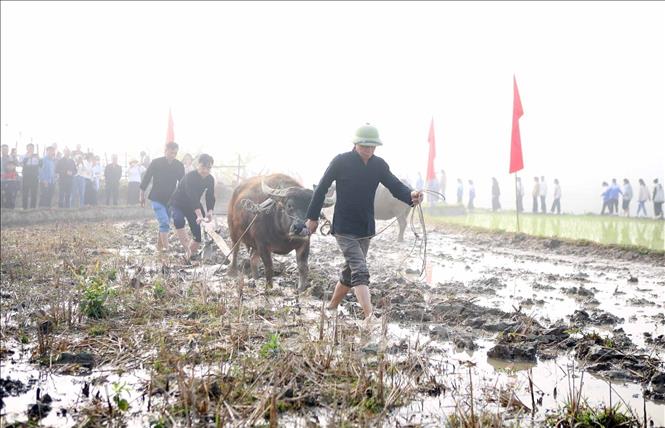 Đại diện lãnh đạo địa phương cùng người dân xuống đồng cày ruộng. Ảnh: Quý Trung – TTXVN