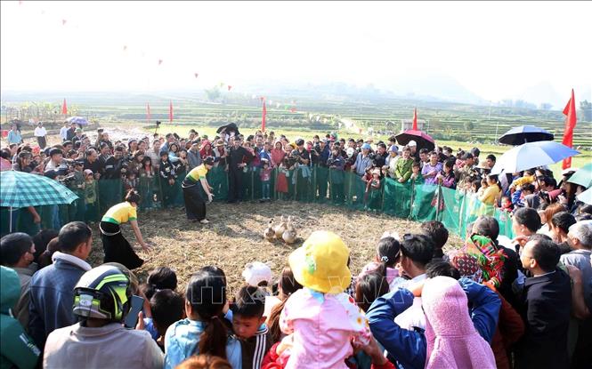 Trò chơi bịt mắt bắt vịt thu hút đông đảo người dân tham gia cổ vũ. Ảnh: Quý Trung – TTXVN
