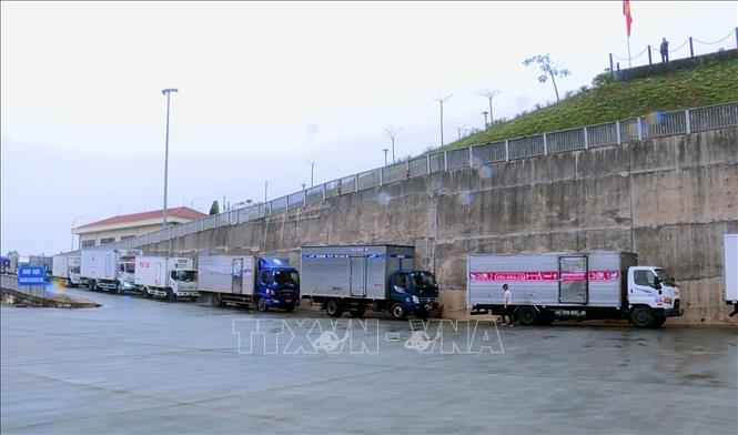 Xe chở hàng xuất khẩu qua lối mở cầu phao tạm km3+4 Hải Yên. Ảnh: Văn Đức - TTXVN
