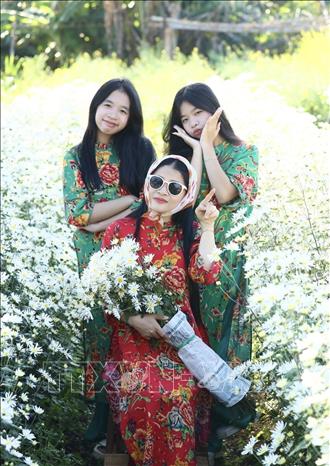 Các bạn trẻ chụp ảnh lưu niệm tại vườn cúc họa mi Mai Châu Garden tại hẻm 227 Ngô Quyền, thành phố Pleiku, tỉnh Gia Lai. Ảnh: Hồng Điệp - TTXVN