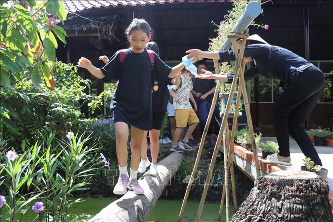 Children experience a coconut tree bridge while visiting the cocoa garden. VNA Photo: Minh Hưng 