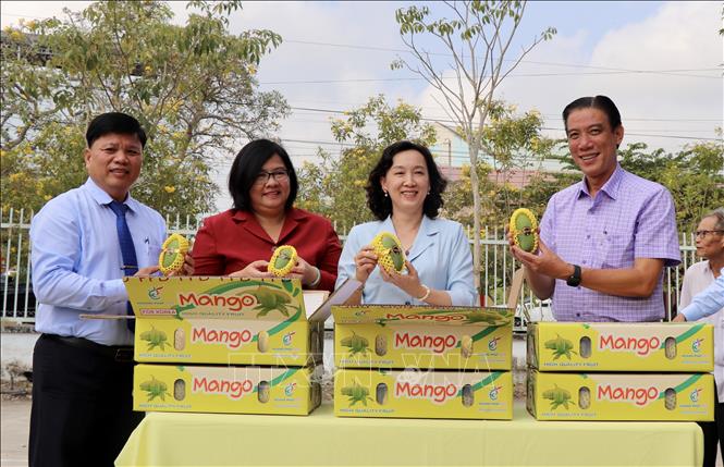 Local authorities attend a ceremony to announce the exportation. VNA Photo: Thanh Sang