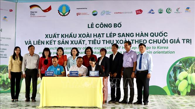 Signing a cooperation contract on selling green-peel mangos between Cho Moi district and the Hoang Phat Fruit Ltd. Co. VNA Photo: Thanh Sang