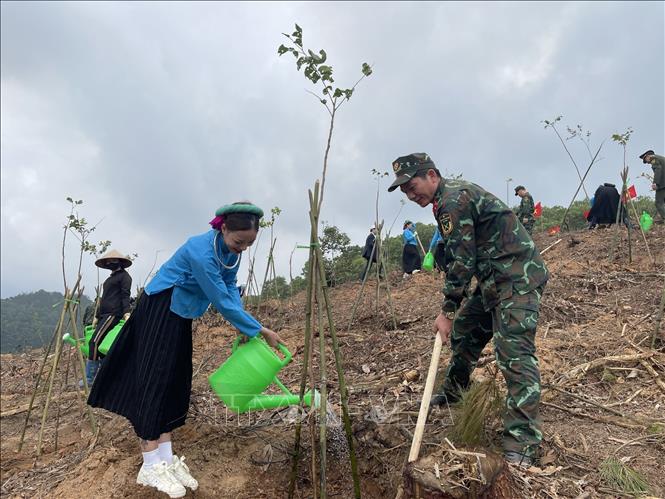 Local people and soldiers in the northern province of Quang Ninh take part in the 2024 tree-planting festival. VNA Photo: Thanh Vân