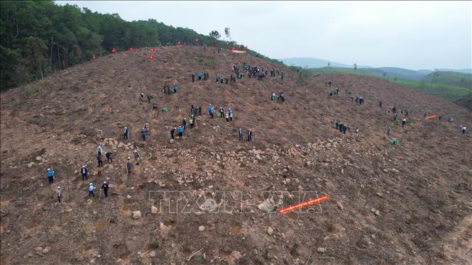 Local people and soldiers in the northern province of Quang Ninh take part in the 2024 tree-planting festival. VNA Photo: Thanh Vân