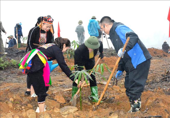 Local people in the northern province of Yen Bai take part in the 2024 tree-planting festival. VNA Photo: Thanh Vân