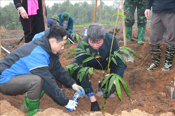 Local people in the northern province of Yen Bai take part in the 2024 tree-planting festival. VNA Photo: Thanh Vân