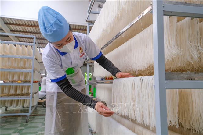 Solar energy used for a noodle drying system at a food processing factory in Hau Giang province. VNA Photo: Thanh Liêm