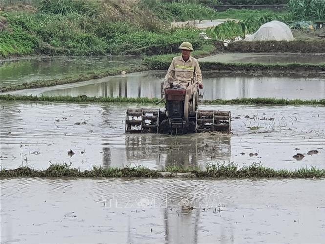 Nông dân xã Quất Lưu, huyện Bình Xuyên, tỉnh Vĩnh Phúc làm đất gieo cấy lúa Xuân.  Ảnh: Nguyễn Trọng Lịch- TTXVN

