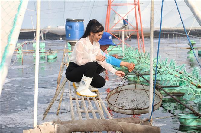 Chị Phan Thị Mỹ Linh (xã Bình Thạnh, huyện Thạnh Phú) thành công với mô hình nuôi tôm công nghệ cao nhờ việc đầu tư trang thiết bị, trải bạt, hệ thống xử lý chất thải, hệ thống tạo oxy cho ao. Ảnh: Huỳnh Phức Hậu - TTXVN