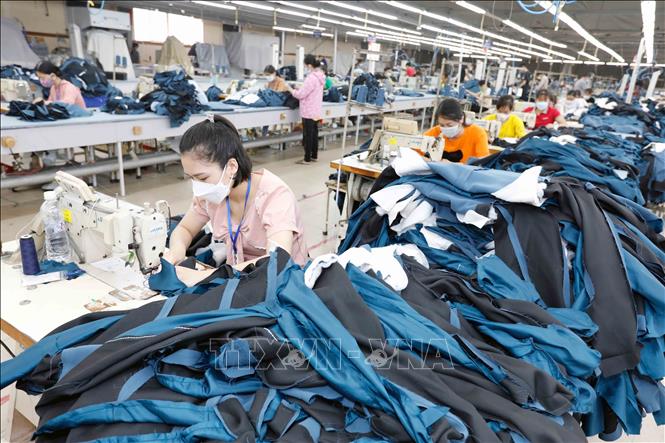 May hàng xuất khẩu tại Xí nghiệp May 2, Công ty May Hồ Gươm, thị xã Mỹ Hào, tỉnh Hưng Yên. Ảnh: Trần Việt - TTXVN